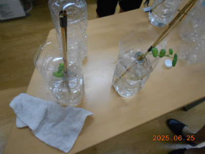 DSCN8905