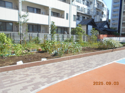 DSCN9009